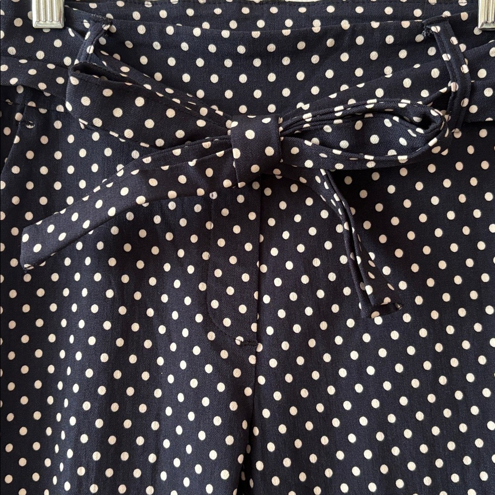JULES & LEOPOLD Navy Polka Dot Pants - Picture 2 of 15